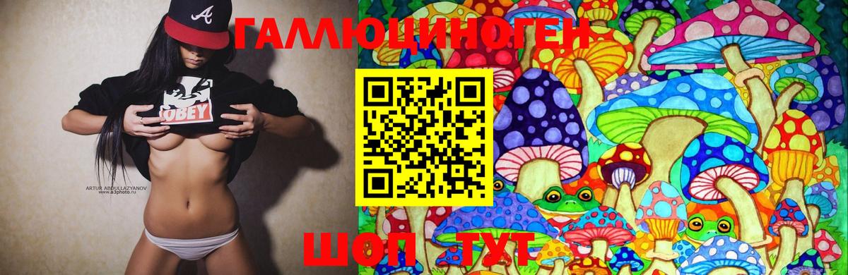 Псилоцибиновые грибы MAGIC MUSHROOMS  Псилоцибиновые грибы MAGIC MUSHROOMS  Вход с VPN  Ачинск 